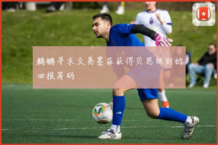 鹈鹕寻求交易墨菲获得贝恩级别的回报筹码