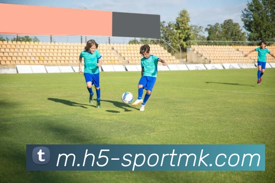 多媒体互动体验