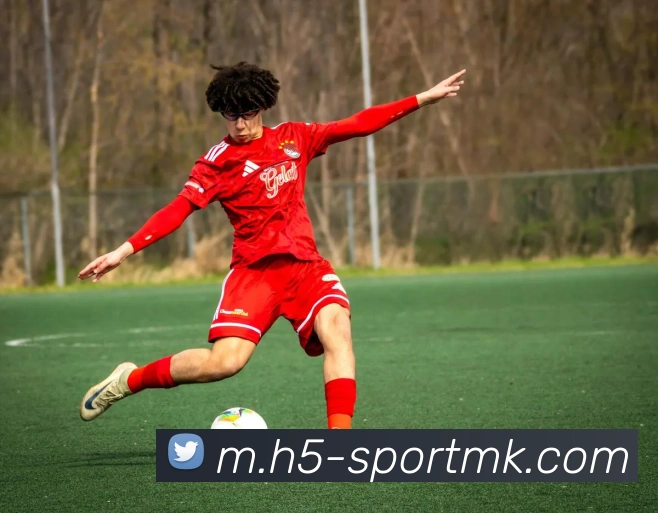 MK体育APP 高清赛事图